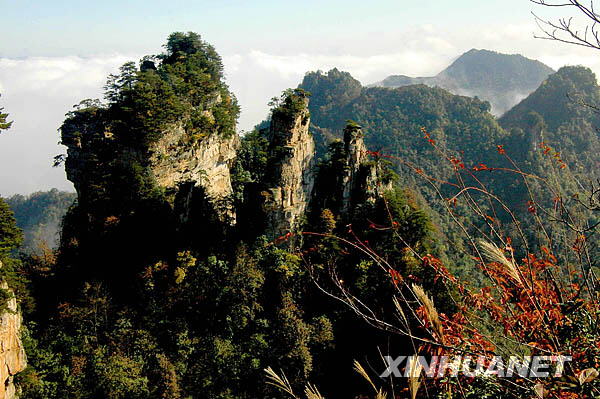 Otoño paisaje turismo China 15