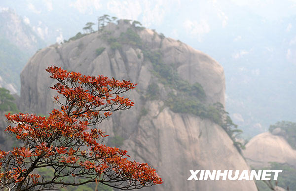 Otoño paisaje turismo China 18