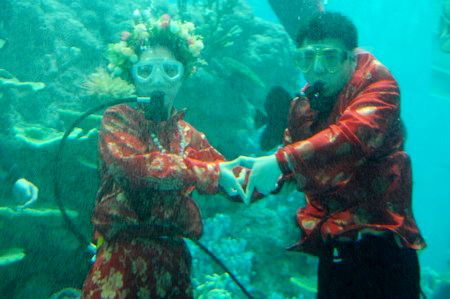 Boda bajo el agua2