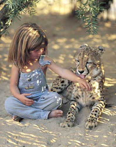 La niña de la selva4