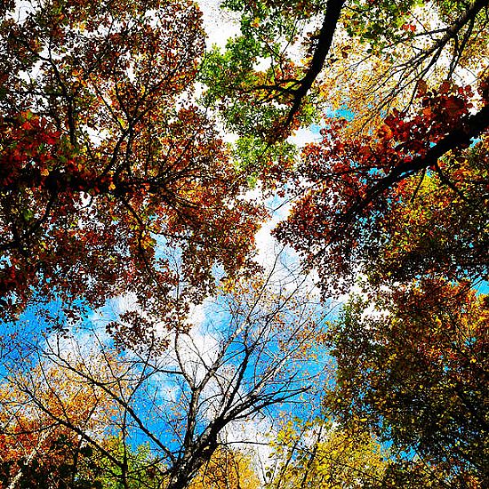 Jiuzhaigou en Otoño 2