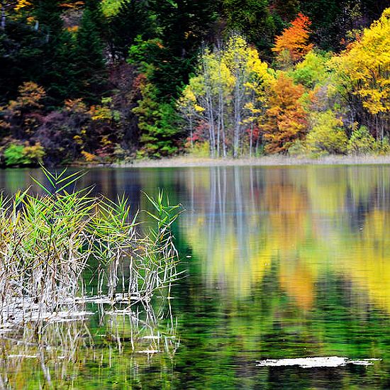 Jiuzhaigou en Otoño 4