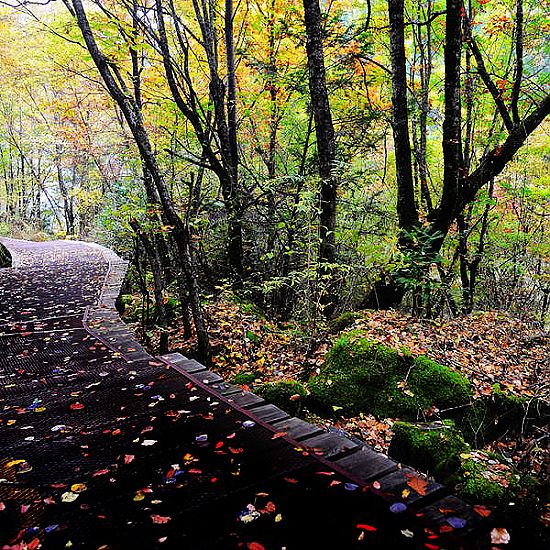 Jiuzhaigou en Otoño 6