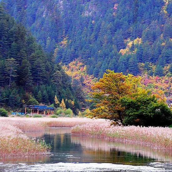 Jiuzhaigou en Otoño 7