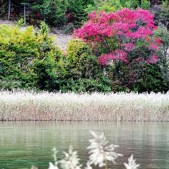 Jiuzhaigou en Otoño 9