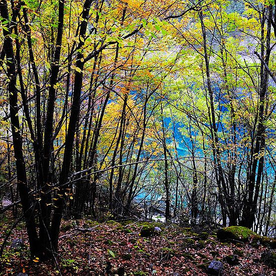 Jiuzhaigou en Otoño 10