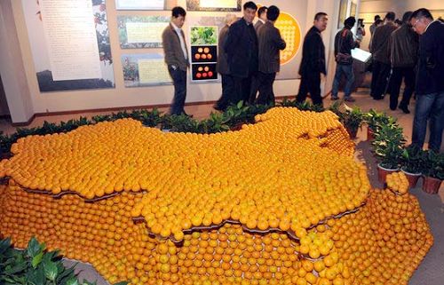 Se inaugura el museo de mandarinas1