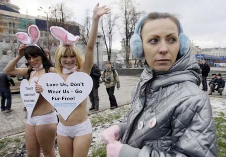 Chicas desnudas para porteger el derecho de animales1
