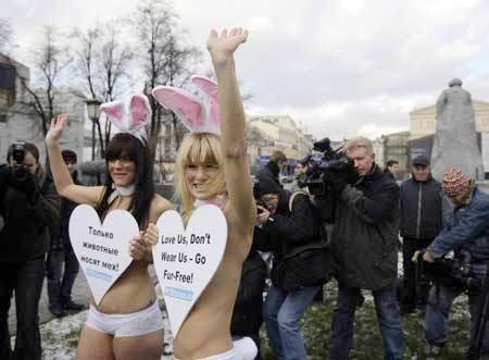Chicas desnudas para porteger el derecho de animales2