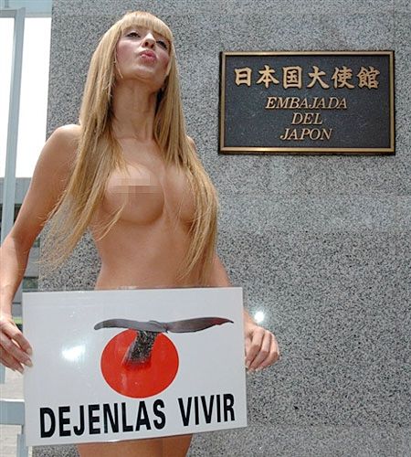 Chica desnuda para protestar contra los que pescan ballenas1
