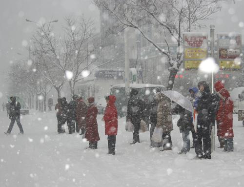 Interrumpen nevadas tráfico en provincia oriental de Shandong 1