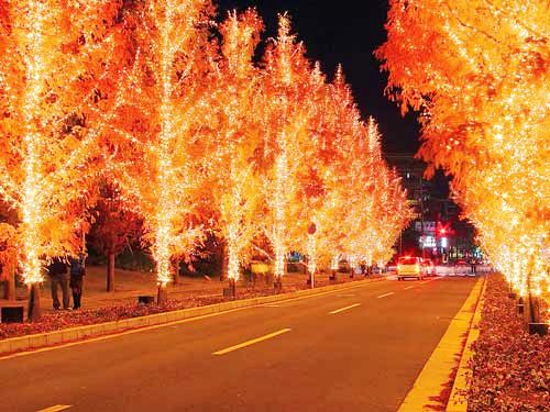 Paisaje nocturna brillante en la víspera de navidad en China 11