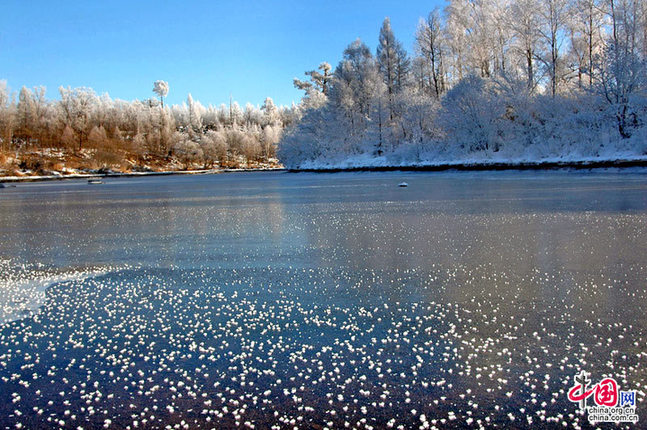 Mundo de hielo y nieve 13