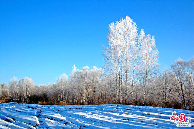 Mundo de hielo y nieve 17