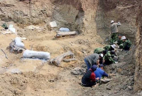 Descubren restos de dinosaurio más grande del mundo en este de China2