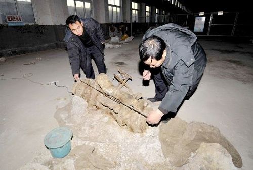 Descubren restos de dinosaurio más grande del mundo en este de China8