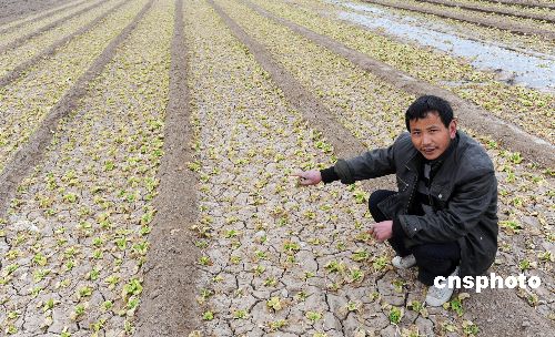 Declara China alerta máxima por peor sequía en 50 años 3