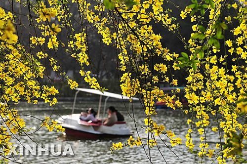 Guyang: los ciruelos de primavera están en plena flor1