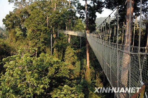 Puente de cielo en Yunnan3