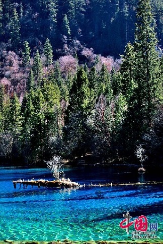 Jiuzhaigou a principios de primavera12