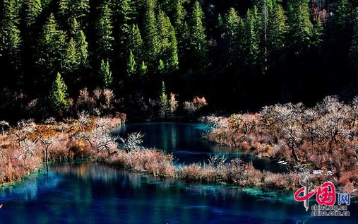 Jiuzhaigou a principios de primavera14