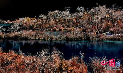 Jiuzhaigou a principios de primavera15