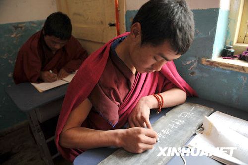 Estudian conocimientos los lamas de templo3