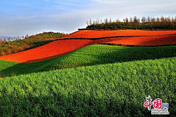 Viaje a la fascinante tierra roja de Dongchuan, en Yunnan 5