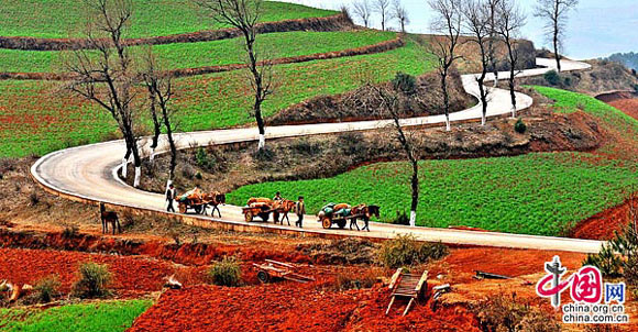 Viaje a la fascinante tierra roja de Dongchuan, en Yunnan 7