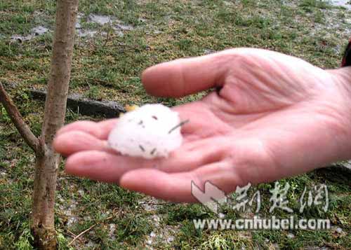 Tormentas de granizo en el centro de China afectan a 280.000 personas 2