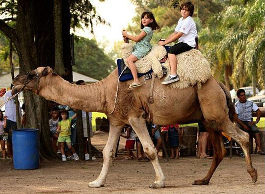 El parque zoológico más peligroso del mundo 3