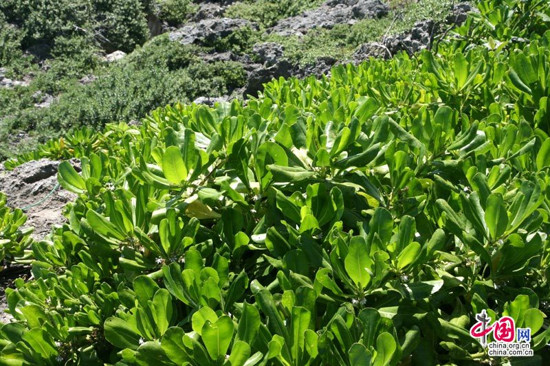 Parque Nacional Kenting en Taiwán 42