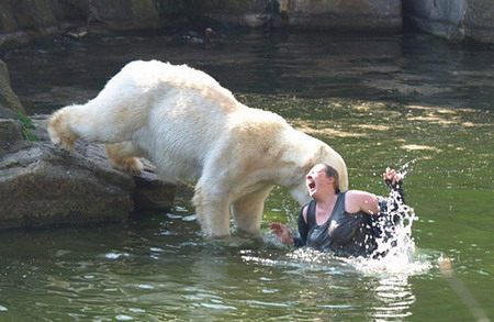 Oso polar ataca a intrusa en zoo de Berlín 2