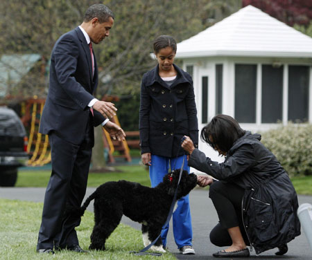 Nuevo perro de Casa Blanca Bo 5