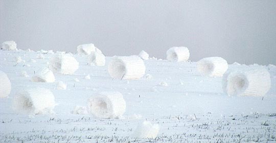 Rollos de nieve creados por la Naturaleza aparecen en estado de Idaho de EEUU 3