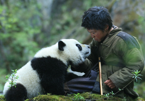 Película china sobre oso panda de Sichuan conmueve al público en su estreno3