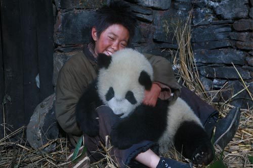 Película china sobre oso panda de Sichuan conmueve al público en su estreno4