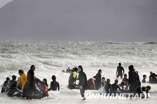 Varamiento sin precedentes de ballenas en playas de Ciudad del Cabo 4