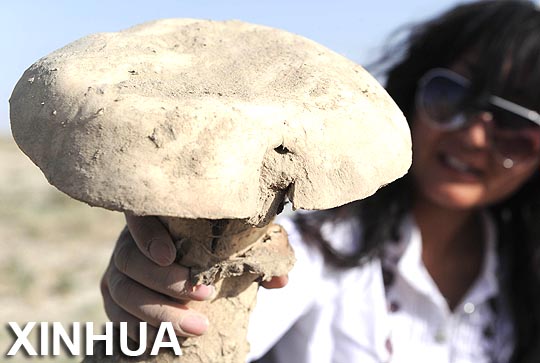 Se encuentra champiñones gigantes de más de 10 kilos en China2