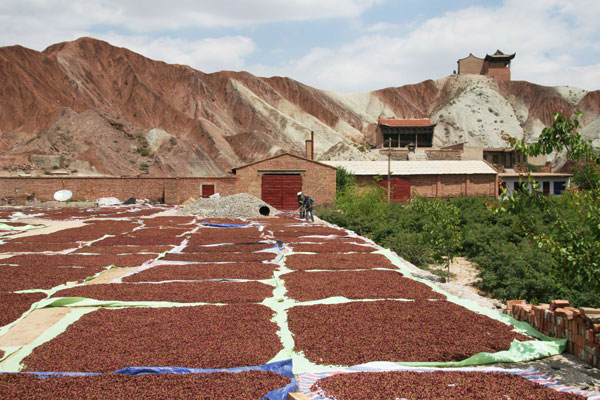 Lanzhou, una perla brillante de la Ruta de la Seda 5