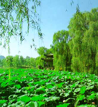 La Villa -Veraneo - Chengde -único-parque-temático-antigüedad china 10