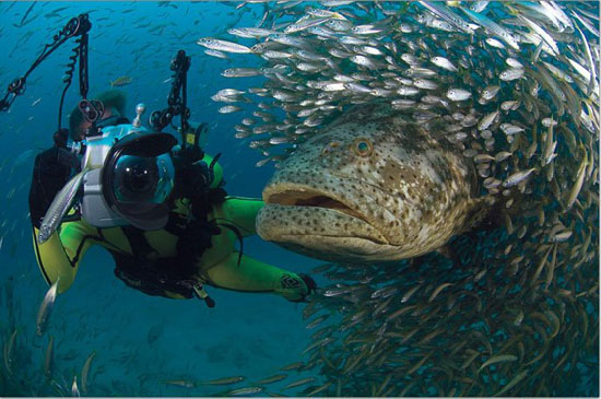 Las mejores fotos de National Geographic del año 2009 21