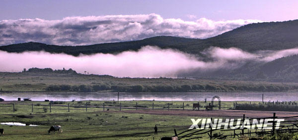 Bella -vista - Hulunbuir -primeros día -otoño-pradera 4