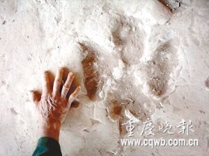 Huellas- dinosaurios -encontradas -Chongqing 1