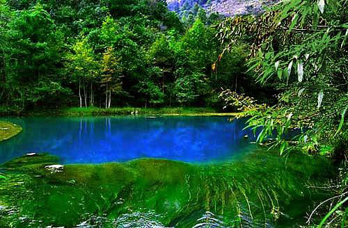 Los 10 bosques más hermosos de China 8