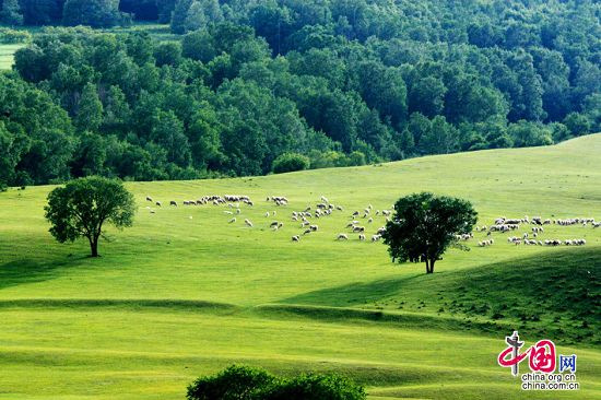 El paisaje -otoñal -pradera Bashang 5