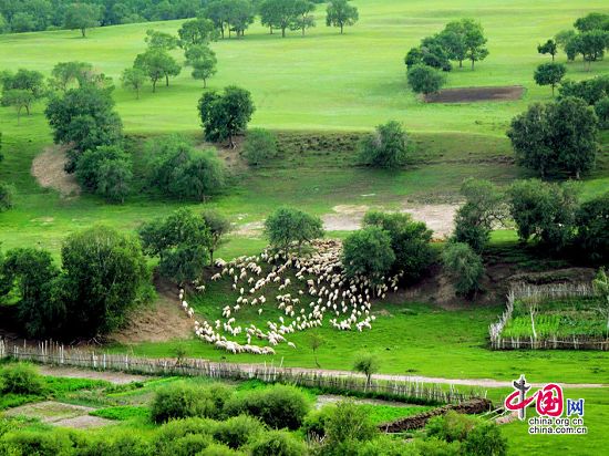 El paisaje -otoñal -pradera Bashang 6