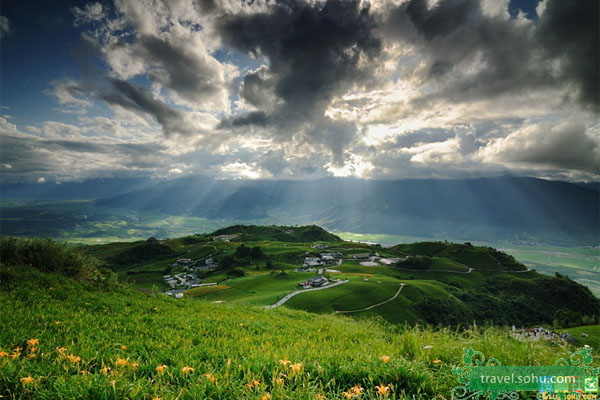 Mar magnífico de flores de lirio en Taiwán 2