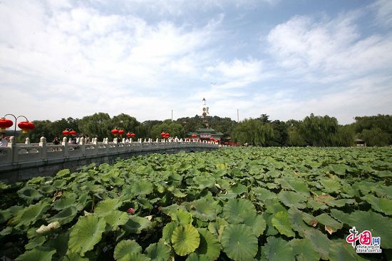 El magnífico paisaje -Parque Beihai -elegantes adornos-recibir- Día Nacional 2