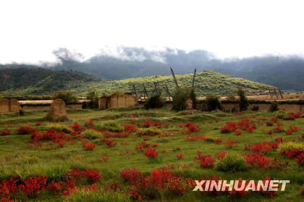 Shangri-la, un paraíso en otra realidad 12